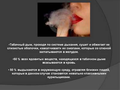 табачный дым отравляет домашних животных