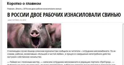 екатеринбуржцы начали заводить в своих квартирах свиней