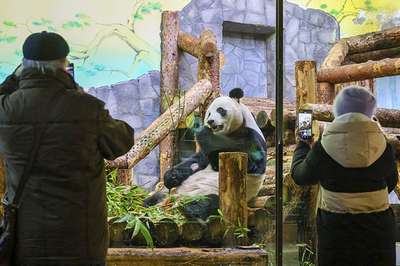 Московский зоопарк: большие перемены во благо обитателей и посетителей