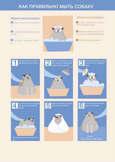 Моем собаку: как правильно и безопасно мыть вашего питомца
