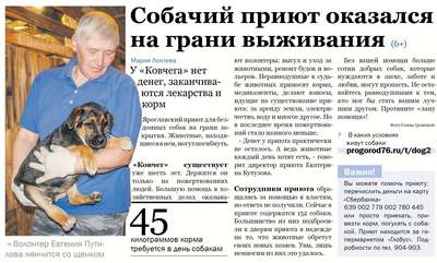 Самый благоустроенный приют для животных в Санкт-Петербурге обретет нового хозяина