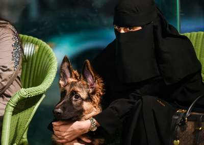 в Саудовской Аравии мужчинам запретили выгуливать собак