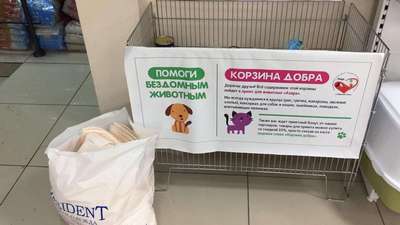 Супермаркеты отказались разместить ящики для пожертвований животным