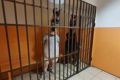 арестован цирк в Сочи: животным грозит голод