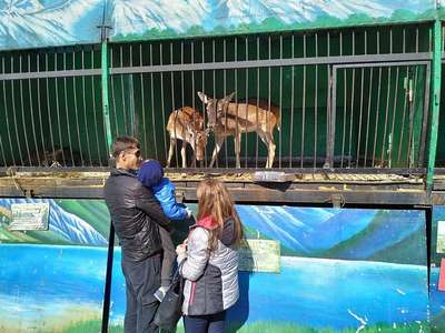 В Волгограде с молотка пустили диких зверей из зоопарка