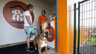 В Германии появилась сеть гостиниц для собак