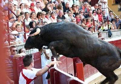 В Испании вырвавшийся с арены разъяренный бык покалечил 30 человек