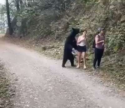 Жительница Монтаны отбилась от медведя кабачком