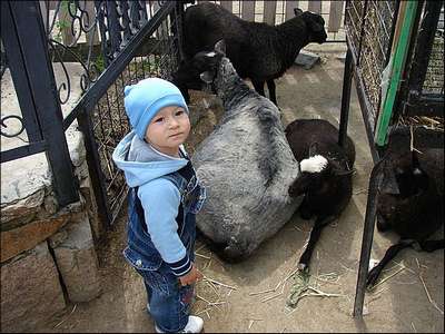 "Контактный" зоопарк, где можно играть с животными, откроется в Омске
