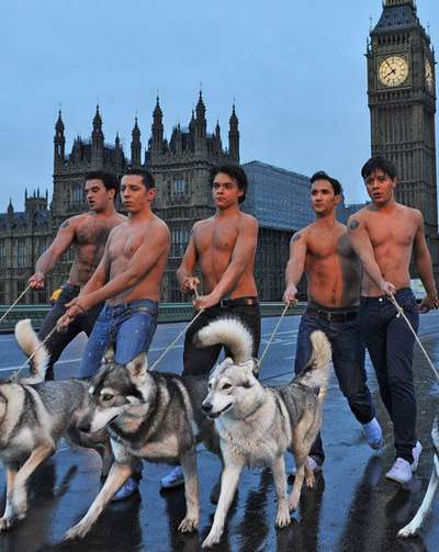 Перед выходом DVD c "Затмением" на улицы Лондона выпустили волков