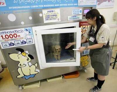В Японии изобрели машину для стирки домашних животных