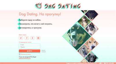 Открыт первый сайт знакомств для собак