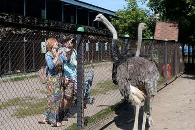 Ранчо превратилось в самый большой зоопарк в Южной Чехии