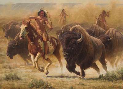 Североамериканские индейцы объединились ради уникального белого бизона