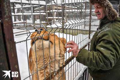 В «новой Москве» появится реабилитационный центр для диких животных