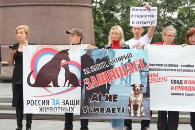 Белорусские защитники животных потребовали запретить лосиный аукцион