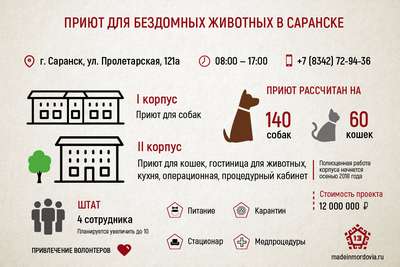Директор киевского приюта для животных присвоила бюджетные средства