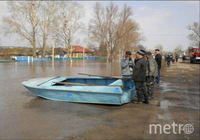Жертвами паводка в Башкирии стали домашние животные