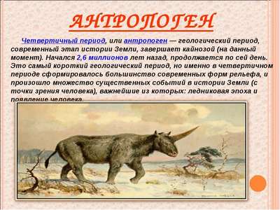 Первые животные на Земле появились в Сибири
