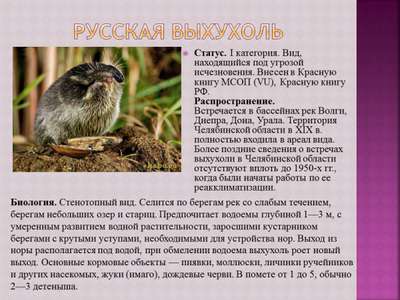 78 редких видов животных и растений пополнят Красную книгу Южного Урала