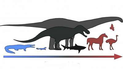 Ученые: динозавры это мезотермические животные