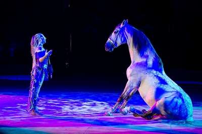 Лошади и другие животные покинут российский цирк?