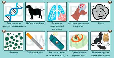 Собака может предотвратить астму
