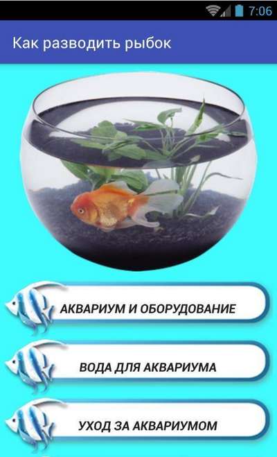 Правила разведения аквариумных рыб