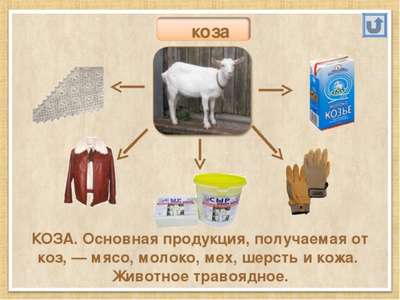 Продукция козоводства: пух, шерсть, мясо, шкуры, молоко, рога, навоз