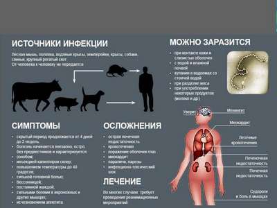 Домашние животные и болезни человека