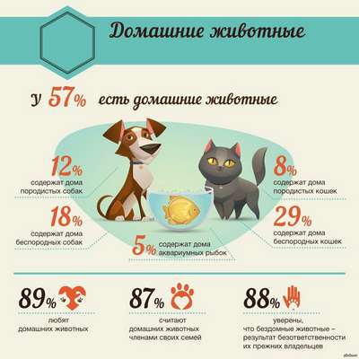Владельцы кошек и собак дольше живут