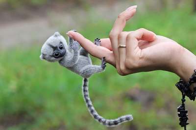 Самые маленькие животные мира