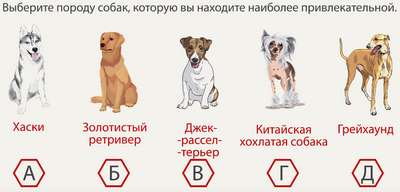 Выбор породы собаки: какую же породу собаки выбрать?