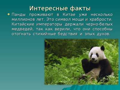 Интересные факты о пандах