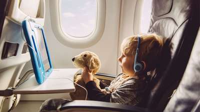 Правила и особенности путешествия с животными: в поезде, самолёте, машине