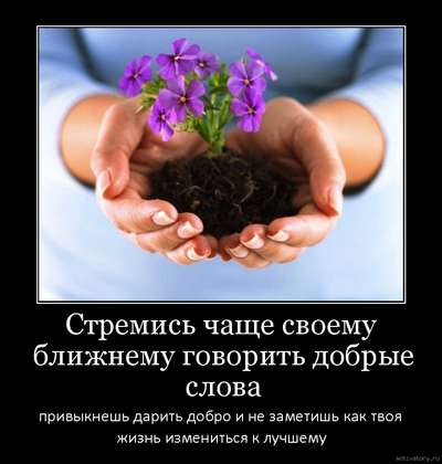 Цветы и мы: покупаем и дарим, а также выращиваем сами
