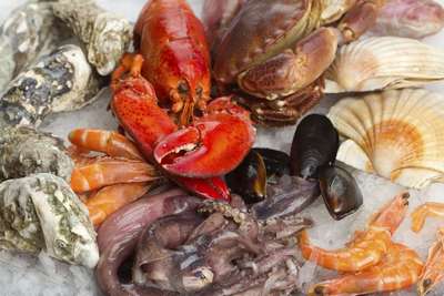 Как используют рыбу и другие морепродукты в медицине