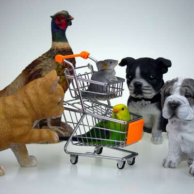Как экономно покупать товары для животных
