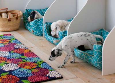 Как дома обустроить место для собаки и не нарушить гармонию в дизайне интерьера?