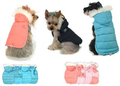 Куртки для маленьких собак: как сделать правильный выбор
