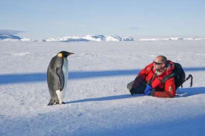 Перепись пингвинов провели украинские полярники в Антарктиде