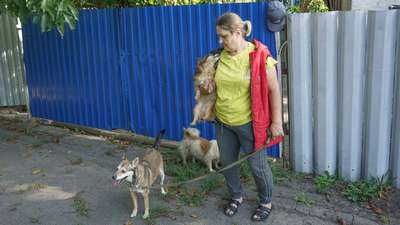 Переселенка с Донбасса спасла более 40 животных