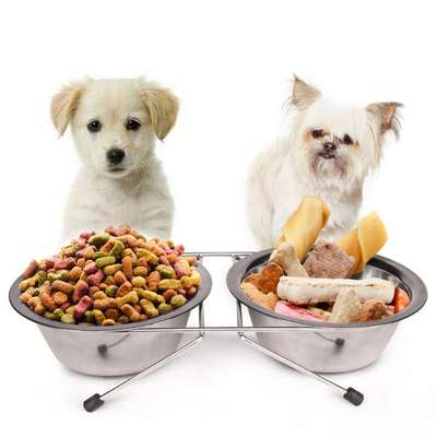 Покупка и выбор еды для собаки