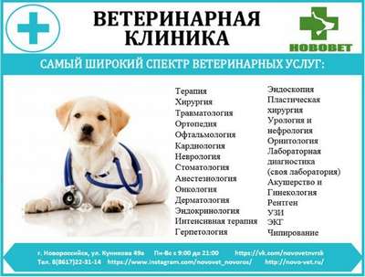 Услуги ветеринарной клиники и аптеки на примере «На Рабочей» в Днепре