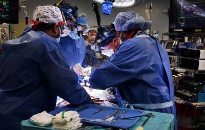 В США врачи впервые успешно пересадили человеку сердце свиньи
