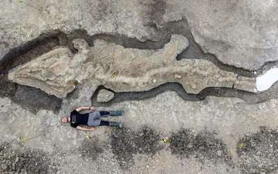 В Великобритании обнаружили окаменевшие останки гигантского динозавра