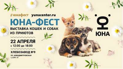 Выставки кошек и собак в Киеве