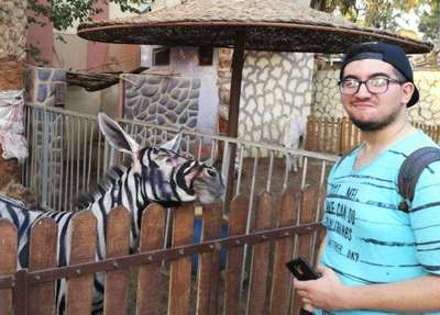 Ослов в египетском зоопарке покрасили и выдали за зебр
