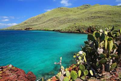 Вокруг Галапагосских островов увеличат зону морского заповедника