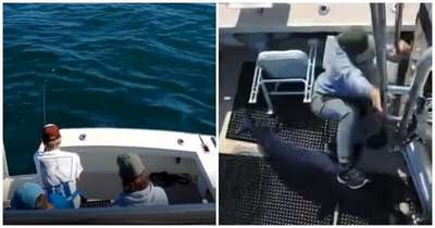 Акула запрыгнула в лодку к американским рыбакам